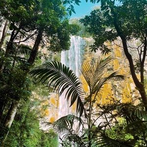 Meet your Posher, Jess